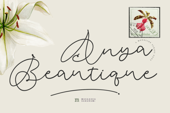 How Anya Beautique Transformed My Brand’s Typography