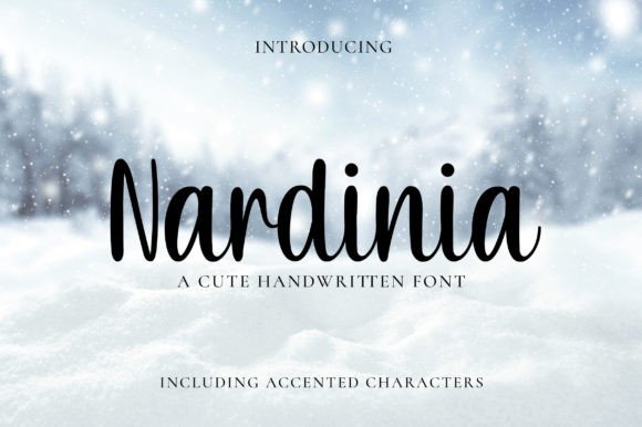 Nardinia: A Designer’s Take on Real-World Use